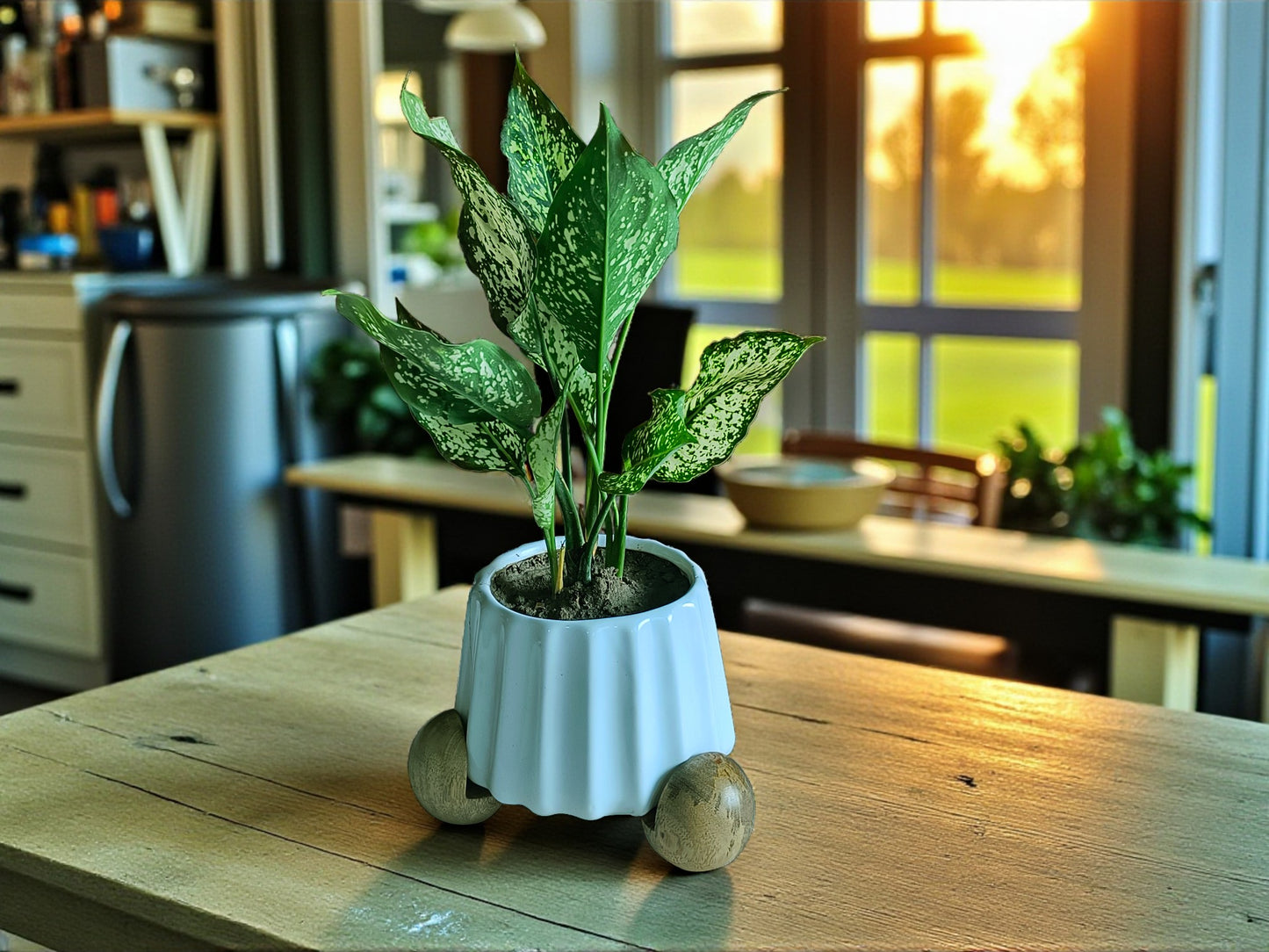 Plant Feet style 2 (set of 3)