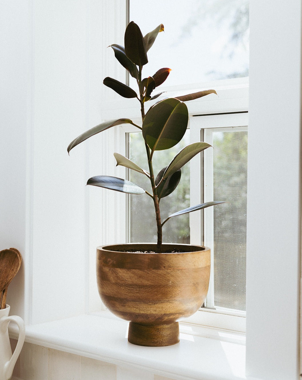 Sculptural Fruit Bowl